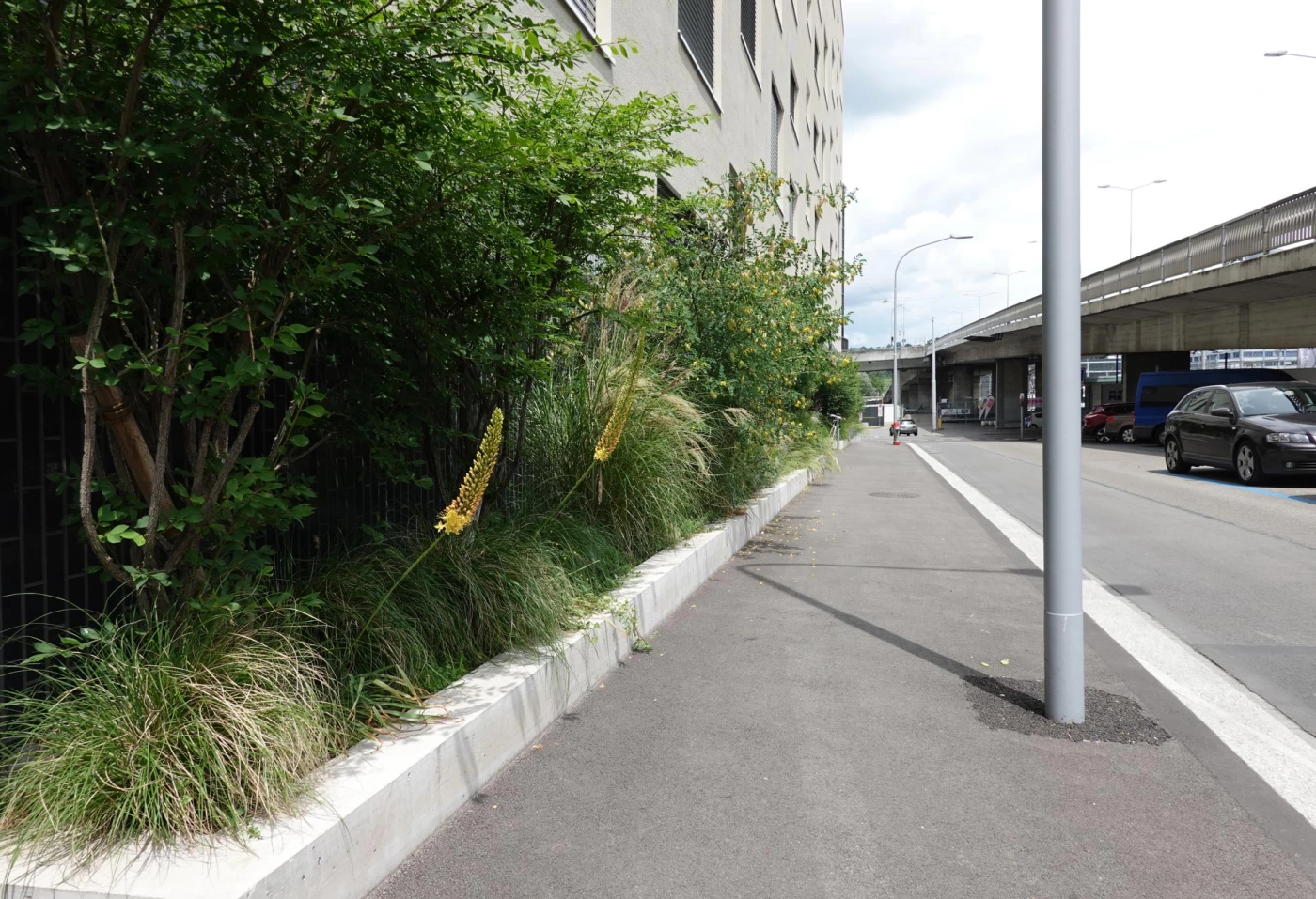 Landschaftsarchitektur Luggwegstrasse, Zürich-Altstetten