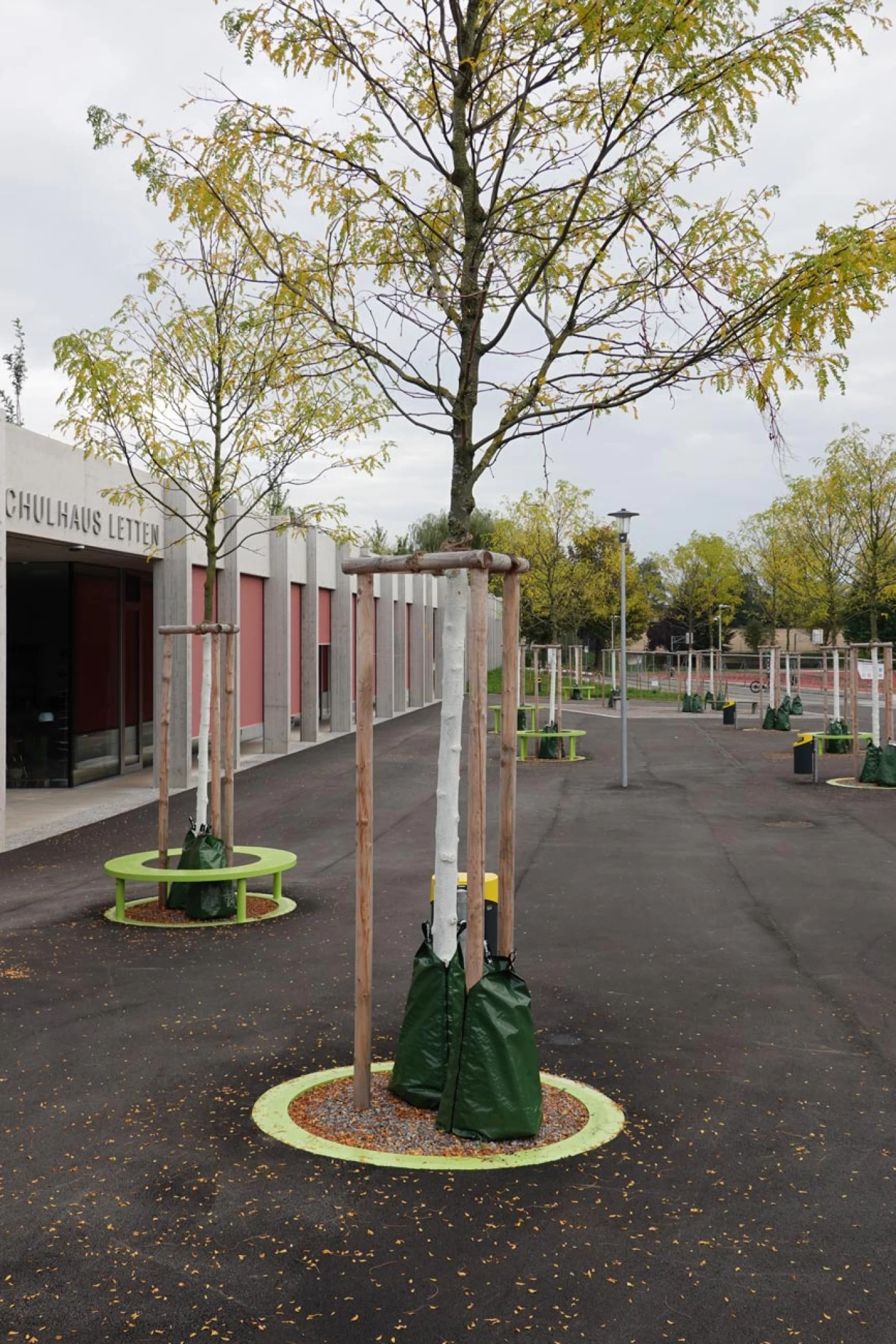 Landschaftsarchitektur Schulanlage Letten, Diessenhofen