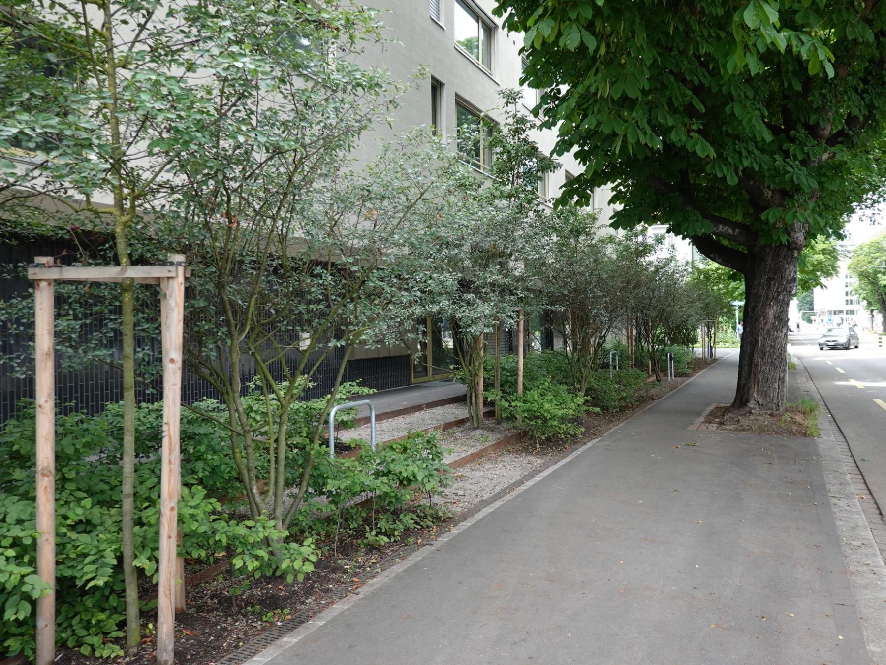 Luggwegstrasse