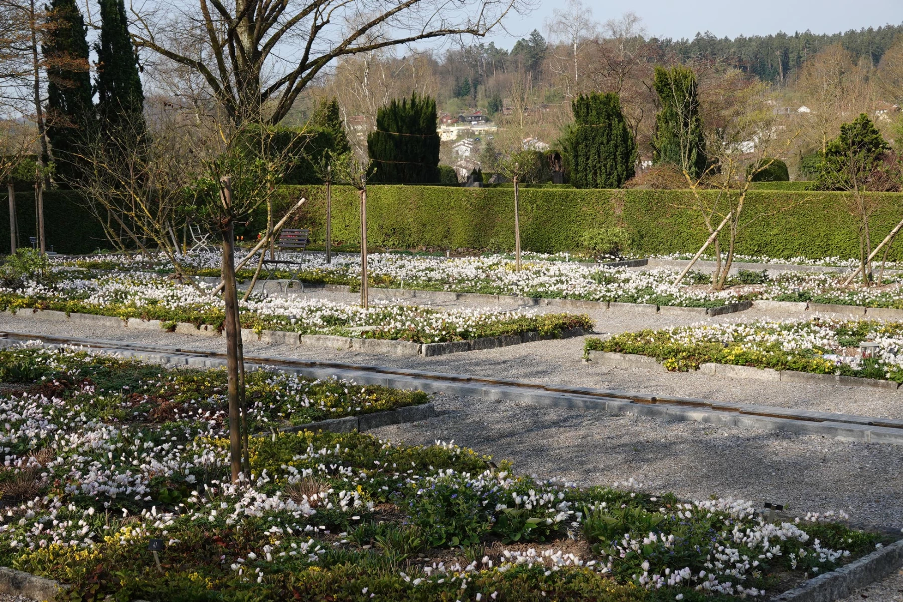 Themengrabfeld Friedhof Rosenberg