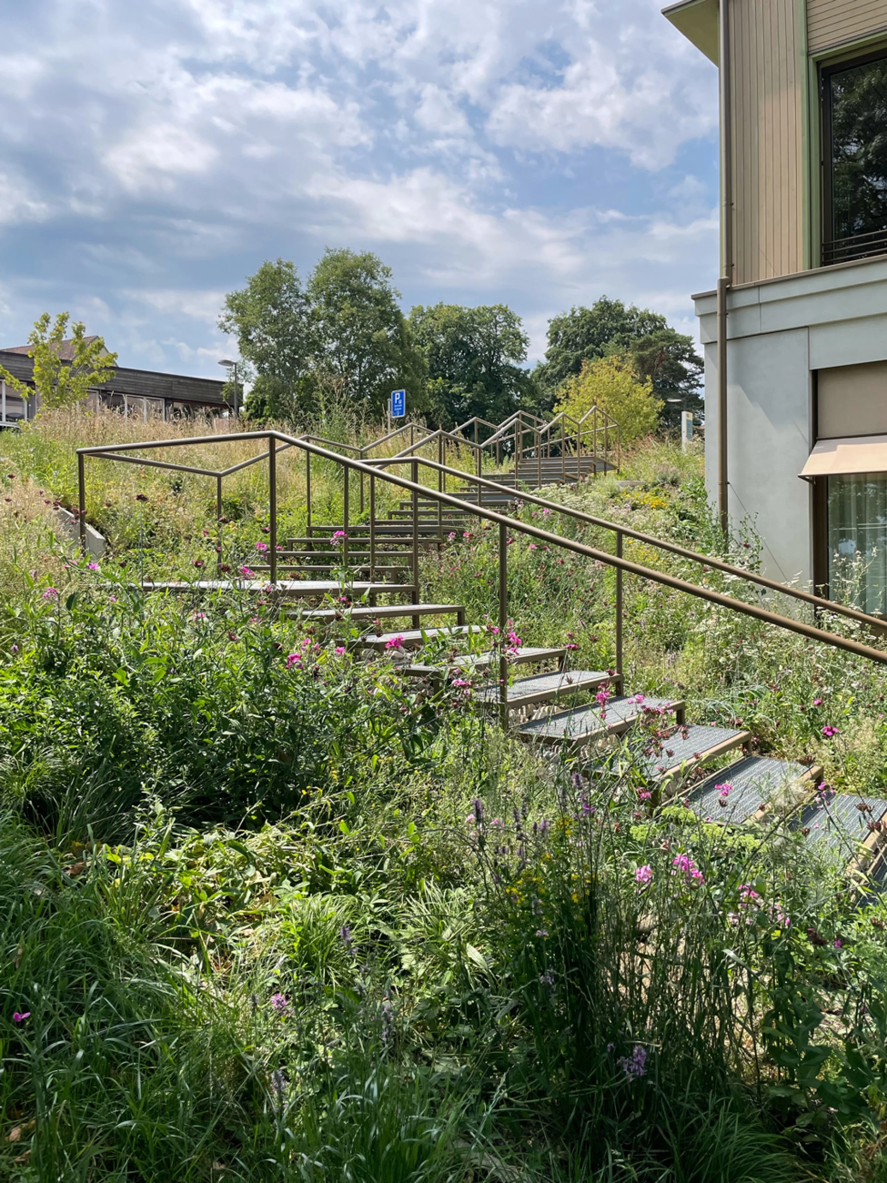 Neubau Besucher- und Therapiezentrum (BTZ)