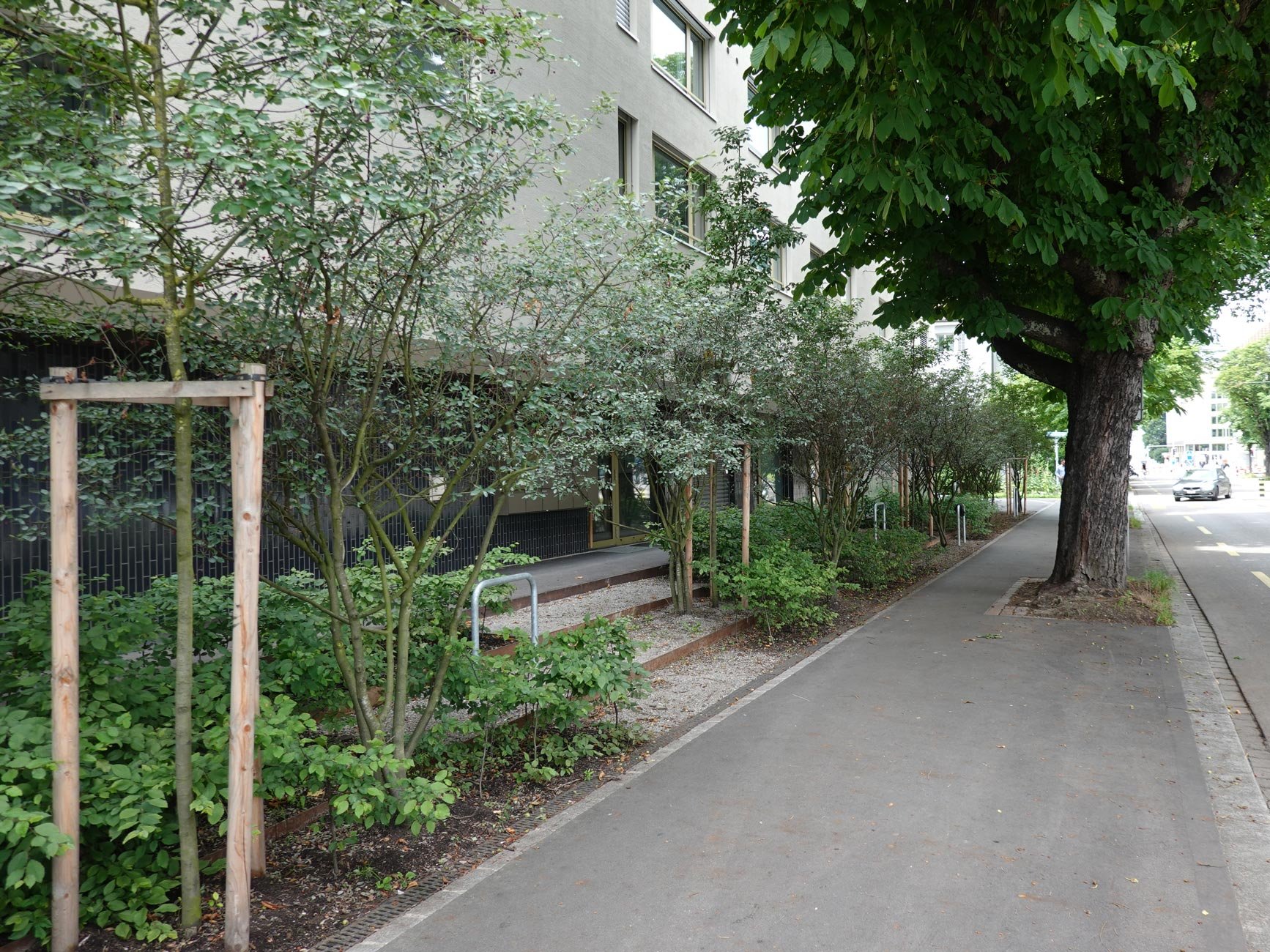 Luggwegstrasse