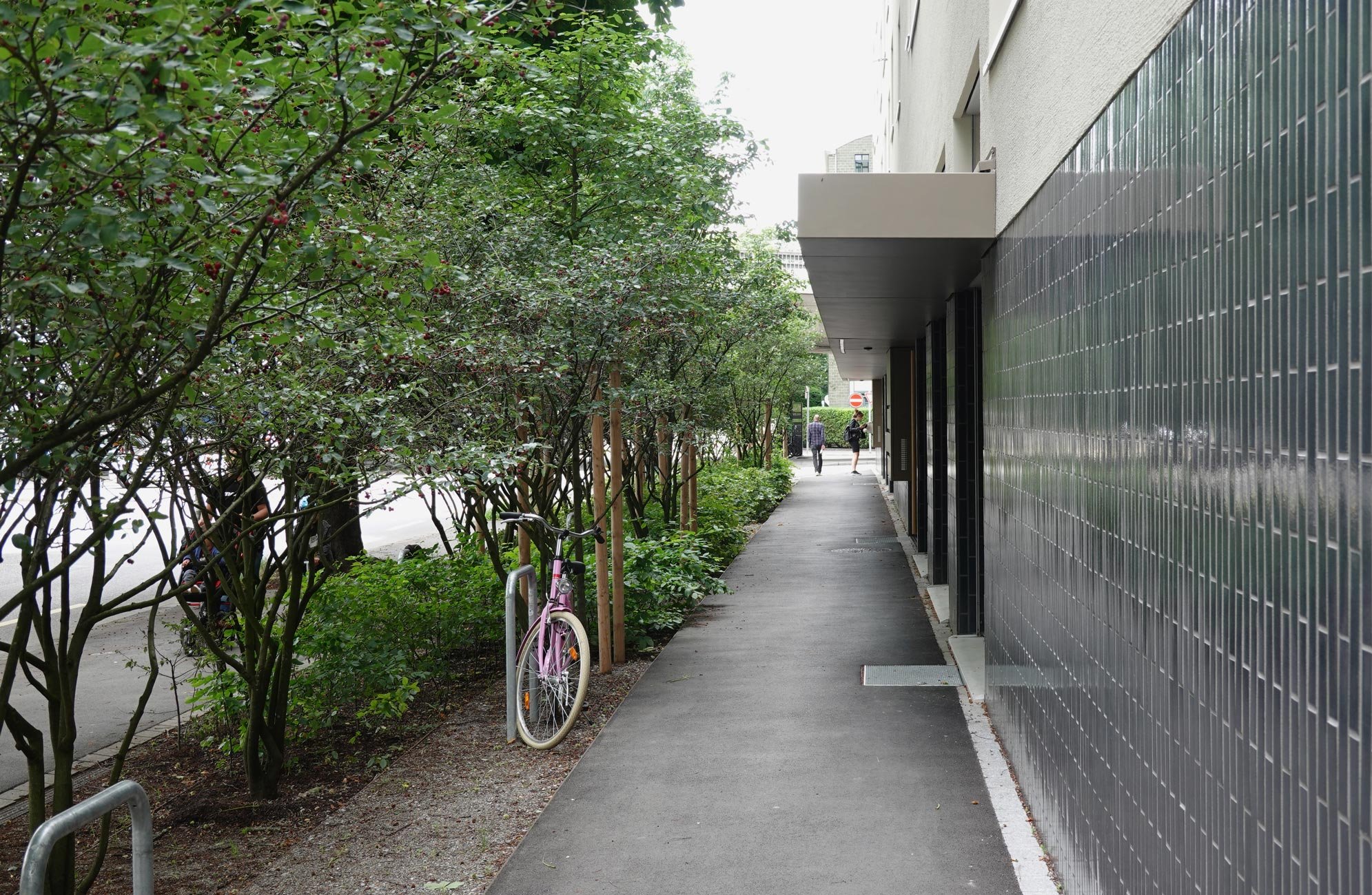 Luggwegstrasse
