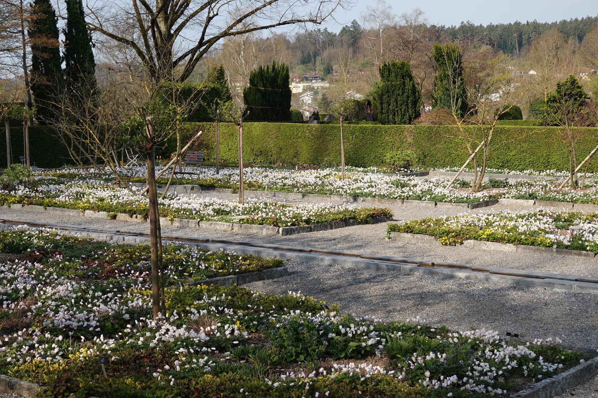Themengrabfeld Friedhof Rosenberg