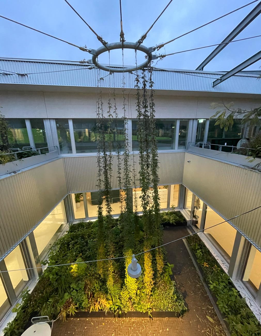 Headoffice Netcloud