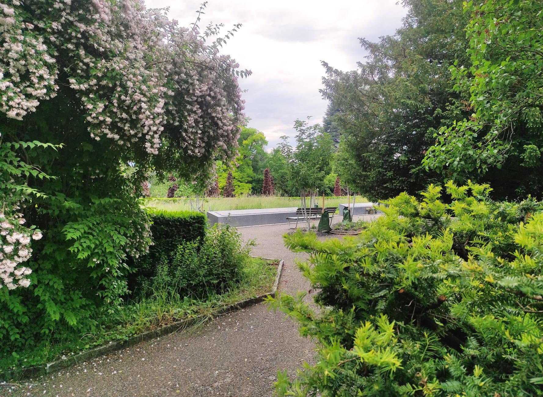 Gemeinschaftsgrab Enzenbühl