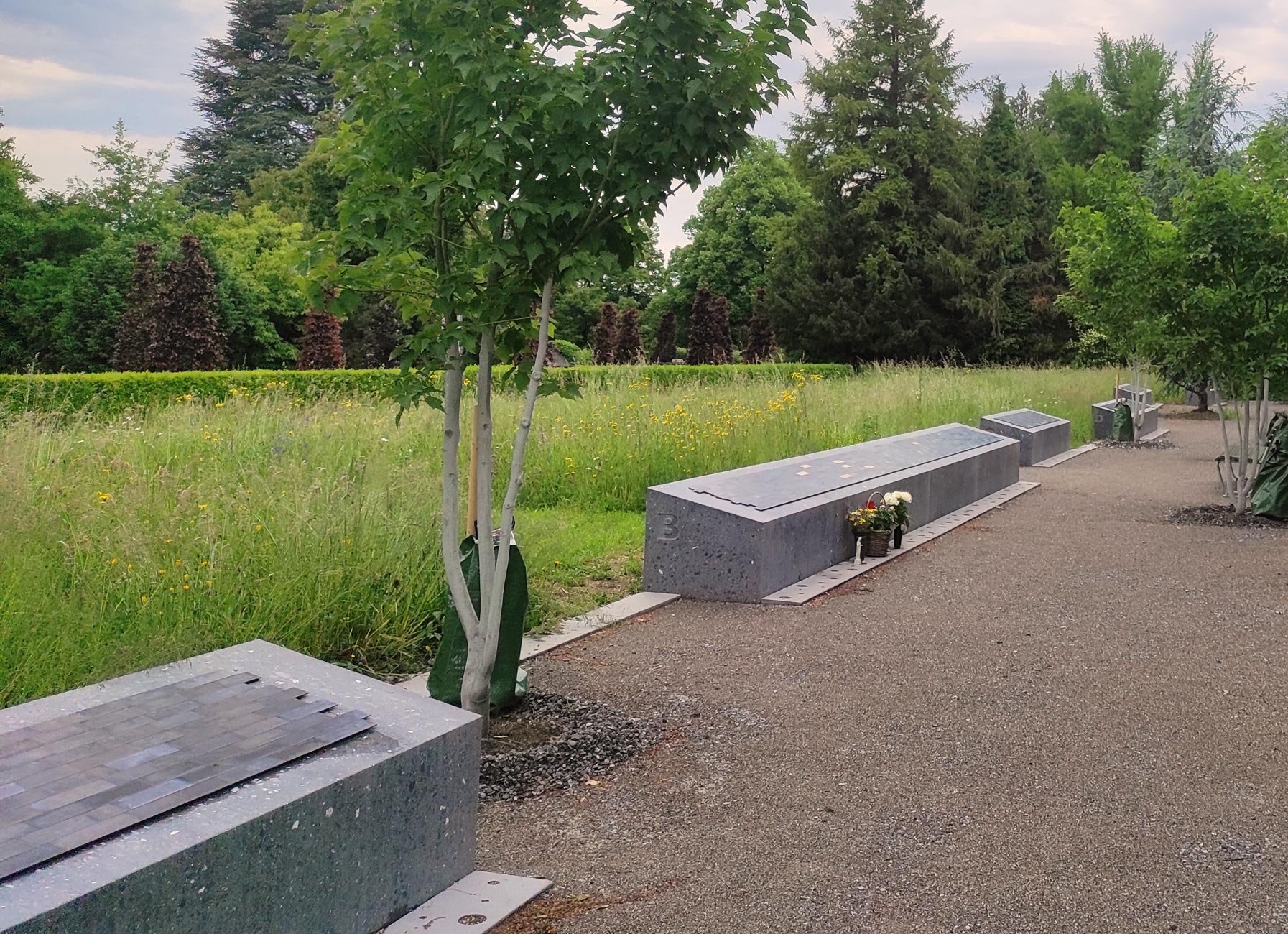 Gemeinschaftsgrab Enzenbühl