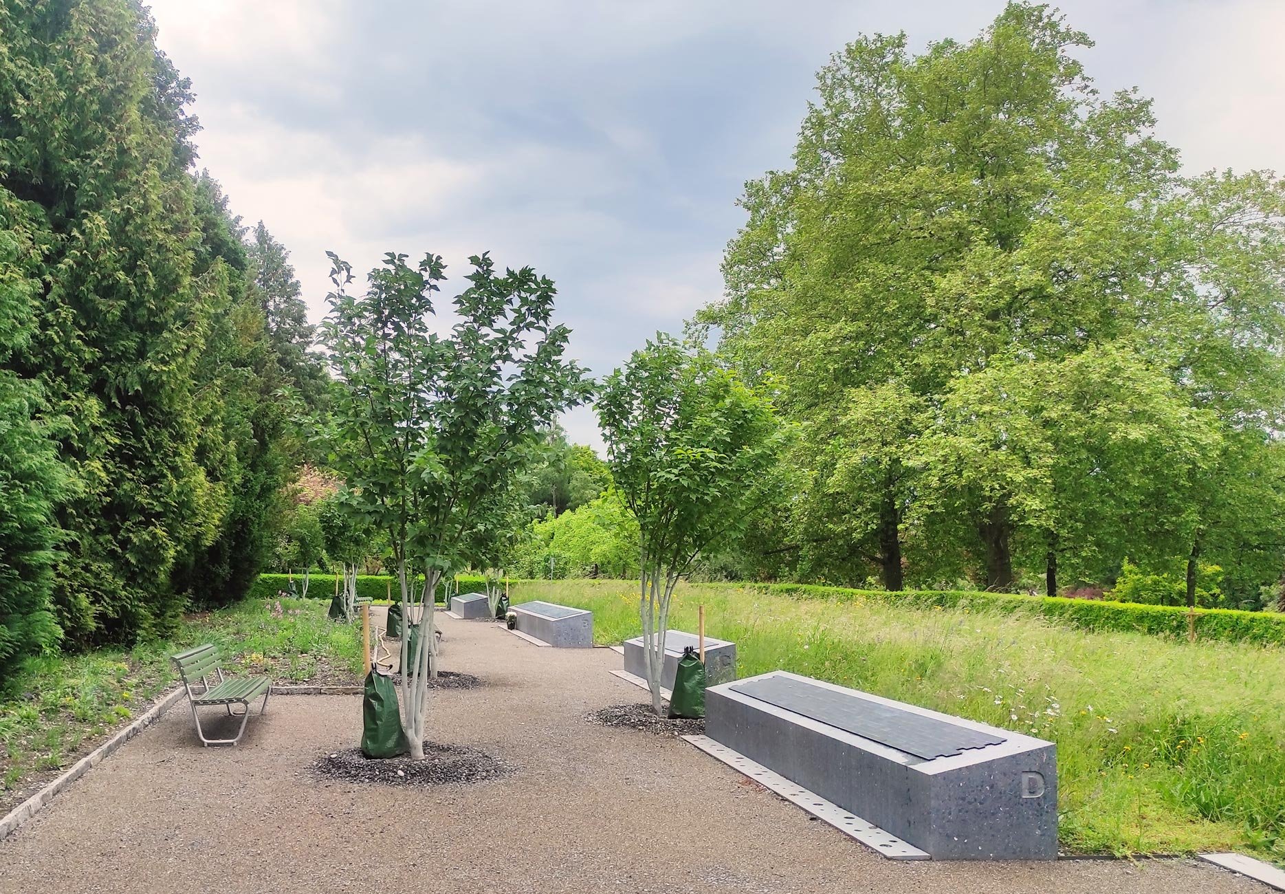 Gemeinschaftsgrab Enzenbühl